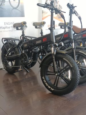 EB3 DIGEO MX motor 750w for all terrain