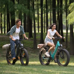 Engwe E26 eBike 1