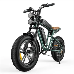 Engwe M20 green 2