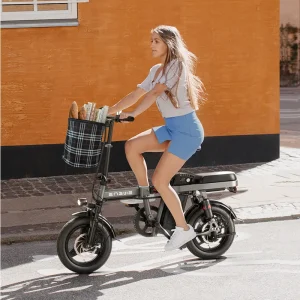 engwe T-14 ebike 1